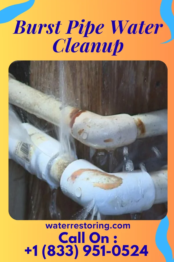 Burst Pipe Water Cleanup in Johnson, NE