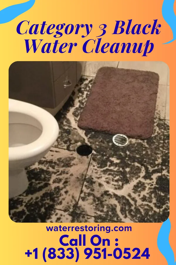 Category 3 Black Water Cleanup in Johnson, NE